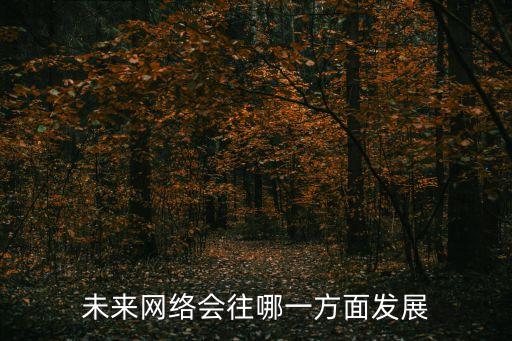 未來網(wǎng)絡(luò)會往哪一方面發(fā)展