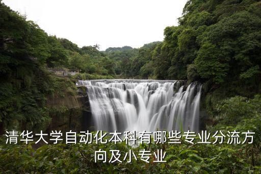 清華大學(xué)自動(dòng)化本科有哪些專業(yè)分流方向及小專業(yè)