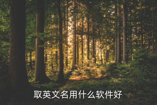 英文自動取名器，取英文名用什么軟件好