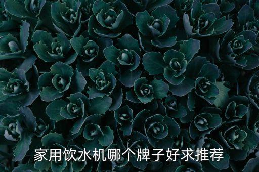 家用臺(tái)式飲水機(jī)哪個(gè)牌子好，臺(tái)式飲水機(jī)什么牌子好