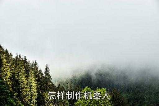 怎樣制作機(jī)器人