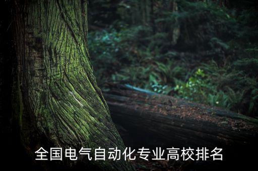 全國(guó)電氣自動(dòng)化專(zhuān)業(yè)高校排名