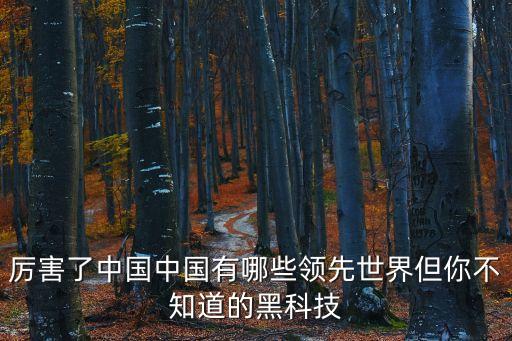 厲害了中國中國有哪些領(lǐng)先世界但你不知道的黑科技