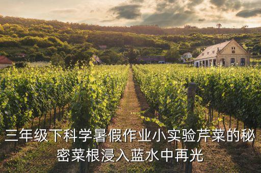 三年級(jí)下冊(cè)科學(xué)小實(shí)驗(yàn)視頻，粵教版三年級(jí)下冊(cè)科學(xué)演示實(shí)驗(yàn)有哪些