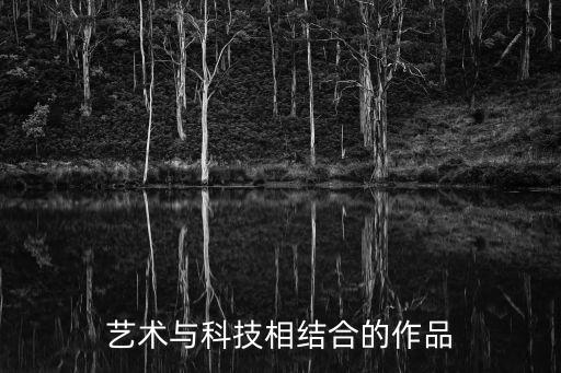 藝術(shù)與科技相結(jié)合的作品