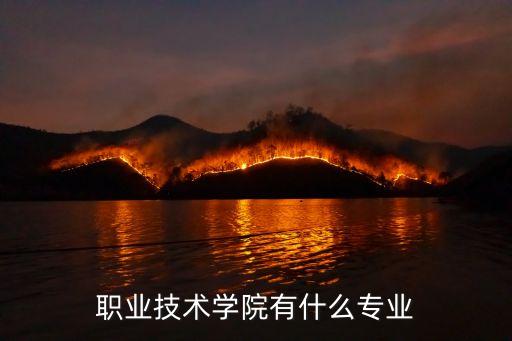 深圳職業(yè)技術(shù)學(xué)院有哪些專(zhuān)業(yè)，深圳職業(yè)技術(shù)學(xué)院有什么專(zhuān)業(yè)適合我呢我是文科男