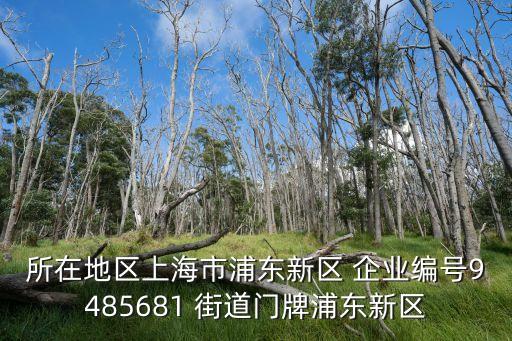 所在地區(qū)上海市浦東新區(qū) 企業(yè)編號9485681 街道門牌浦東新區(qū)
