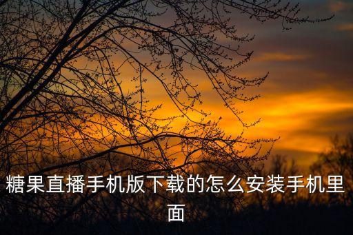 糖果直播手機(jī)版下載的怎么安裝手機(jī)里面