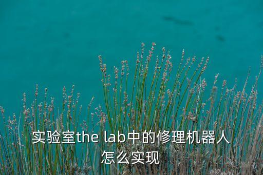 化學(xué)實驗室機(jī)器人，實驗室the lab中的修理機(jī)器人怎么實現(xiàn)