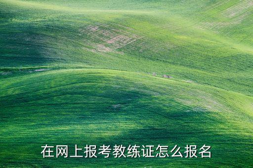 人工智能訓(xùn)練師報(bào)名入口，在網(wǎng)上報(bào)考教練證怎么報(bào)名