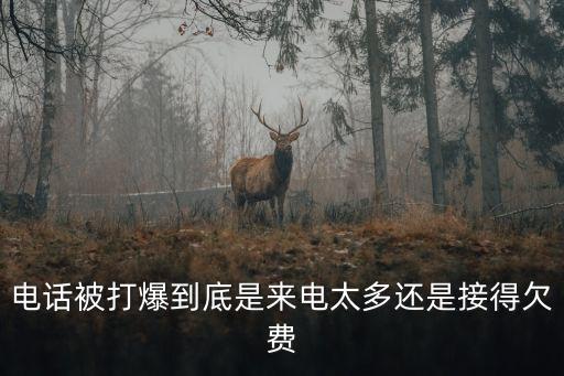 電話被打爆到底是來電太多還是接得欠費
