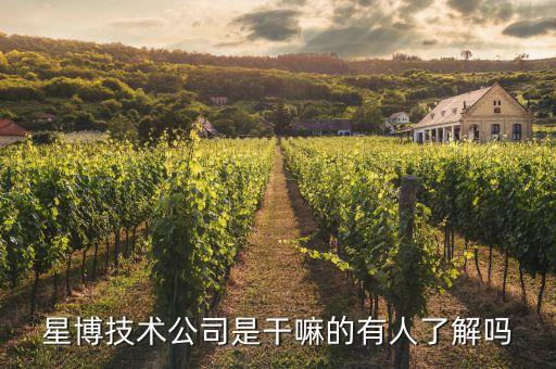 萌米科技是干嘛的啊知乎，星博技術(shù)公司是干嘛的有人了解嗎