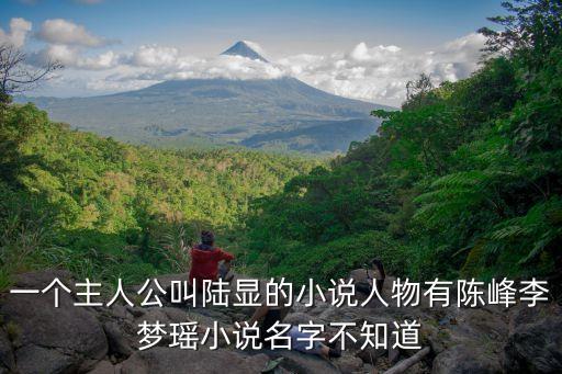 一個(gè)主人公叫陸顯的小說人物有陳峰李夢瑤小說名字不知道