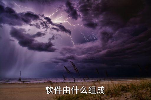 軟件由什么組成