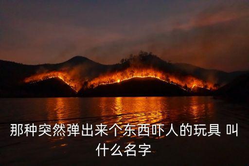 那種突然彈出來個東西嚇人的玩具 叫什么名字