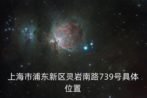 上海市浦東新區(qū)靈巖南路739號具體位置