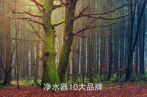 凈水器10大品牌