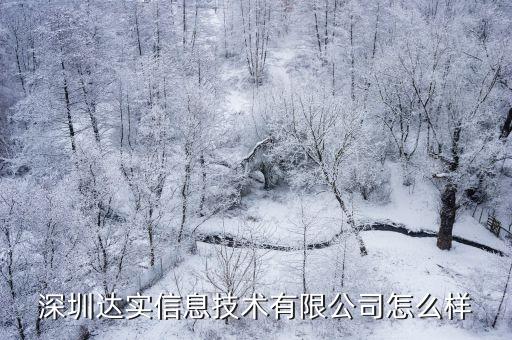 中國(guó)自動(dòng)化學(xué)會(huì)專業(yè)委員會(huì)，深圳達(dá)實(shí)信息技術(shù)有限公司怎么樣