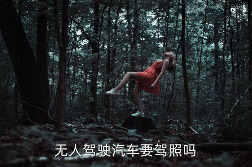 無(wú)人駕駛汽車要駕照嗎