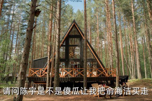 請(qǐng)問陳宇是不是傻瓜讓我把俞海潔買走