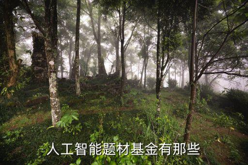 人工智能題材基金有那些