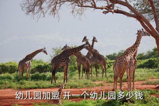 幼兒園加盟 開一個幼兒園多少錢