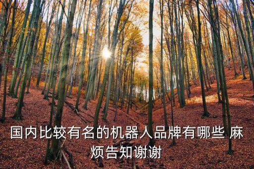 國內(nèi)比較有名的機器人品牌有哪些 麻煩告知謝謝