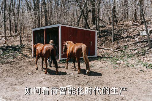 如何看待智能化時代的生產(chǎn)