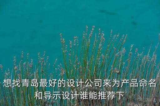 青島產(chǎn)品設(shè)計(jì)公司，青島有哪些比較好的設(shè)計(jì)公司