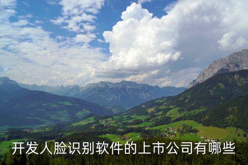 開發(fā)人臉識(shí)別軟件的上市公司有哪些