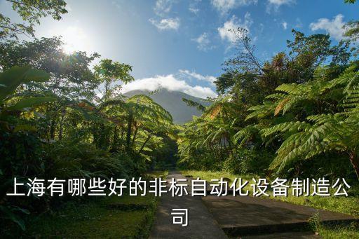 全自動(dòng)化設(shè)備廠家，自動(dòng)化設(shè)備較權(quán)威的供應(yīng)商