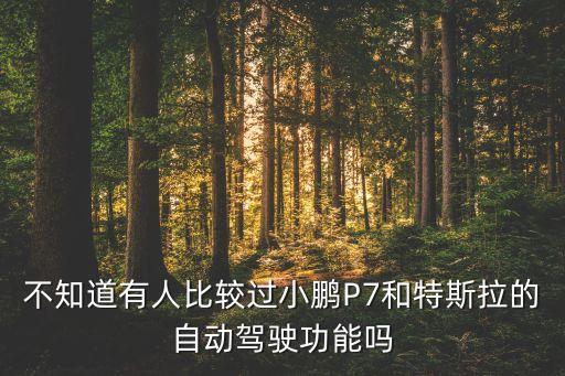 不知道有人比較過小鵬P7和特斯拉的自動駕駛功能嗎