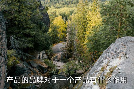 產(chǎn)品的品牌對(duì)于一個(gè)產(chǎn)品有什么作用