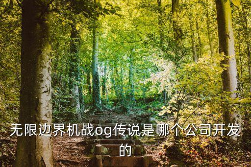 無限邊界機戰(zhàn)og傳說是哪個公司開發(fā)的