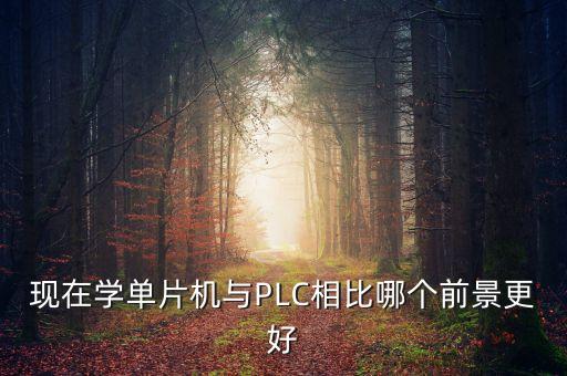 現(xiàn)在學(xué)單片機(jī)與PLC相比哪個(gè)前景更好