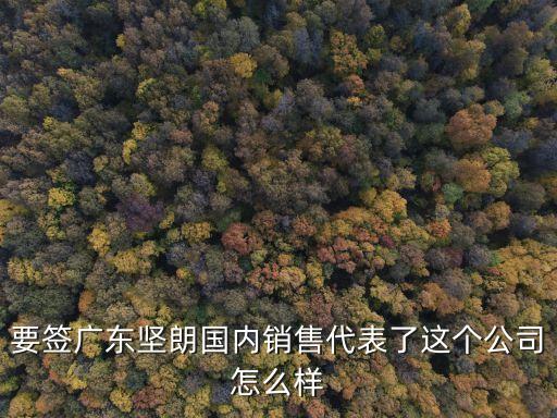 要簽廣東堅朗國內銷售代表了這個公司怎么樣