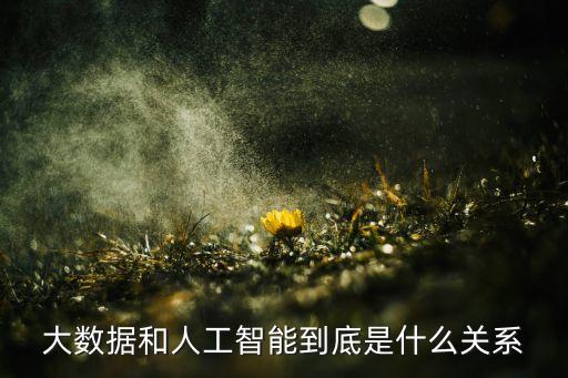 大數(shù)據(jù)與人工智能，大數(shù)據(jù)和人工智能之間的聯(lián)系在