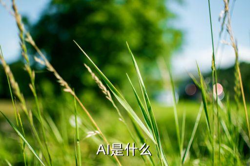 AI是什么