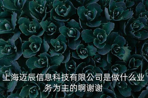 上海邁辰信息科技有限公司是做什么業(yè)務(wù)為主的啊謝謝