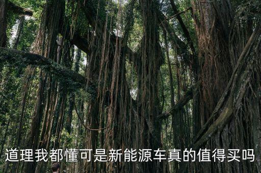 道理我都懂可是新能源車真的值得買嗎
