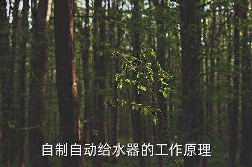 自制自動(dòng)給水器的工作原理