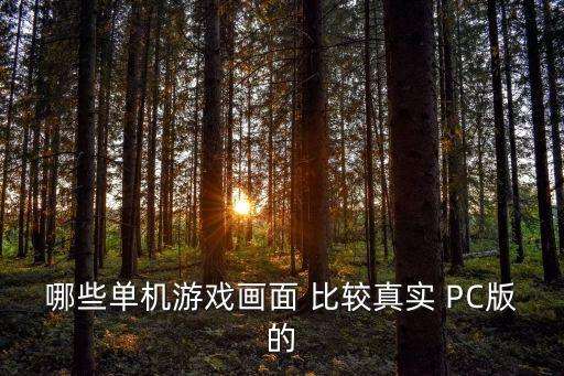 畫面真實(shí)的游戲，哪些單機(jī)游戲畫面 比較真實(shí) PC版的
