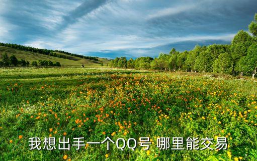 我想出手一個QQ號 哪里能交易