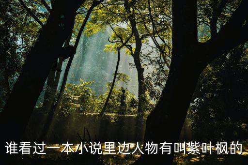 誰看過一本小說里邊人物有叫紫葉楓的