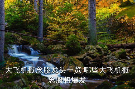 大飛機概念股龍頭一覽 哪些大飛機概念股將爆發(fā)