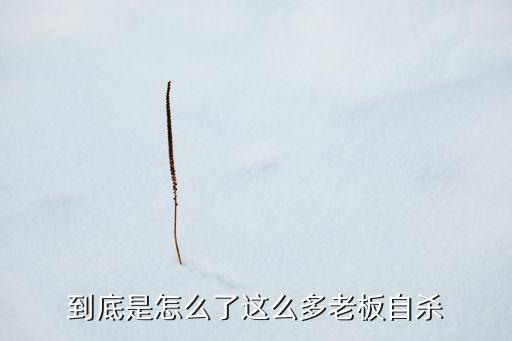 到底是怎么了這么多老板自殺