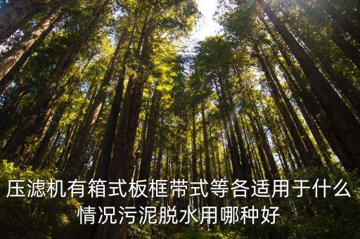 小型污泥脫水壓濾機，有沒有占地面積小點的小型壓濾機或小型污泥脫水機我的水量一天