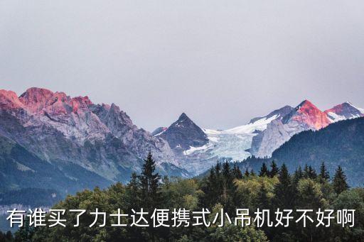 有誰買了力士達(dá)便攜式小吊機好不好啊