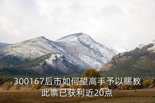 300167后市如何望高手予以賜教此票已獲利近20點(diǎn)