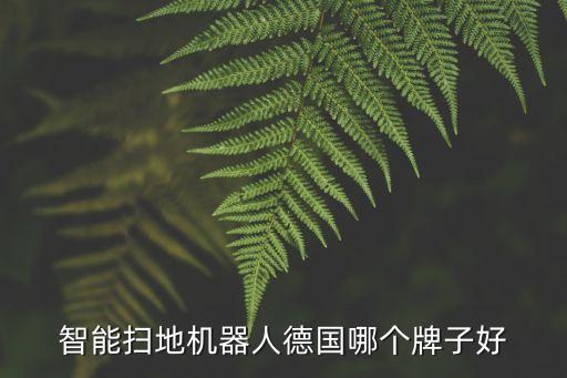 智能掃地機(jī)器人德國(guó)哪個(gè)牌子好